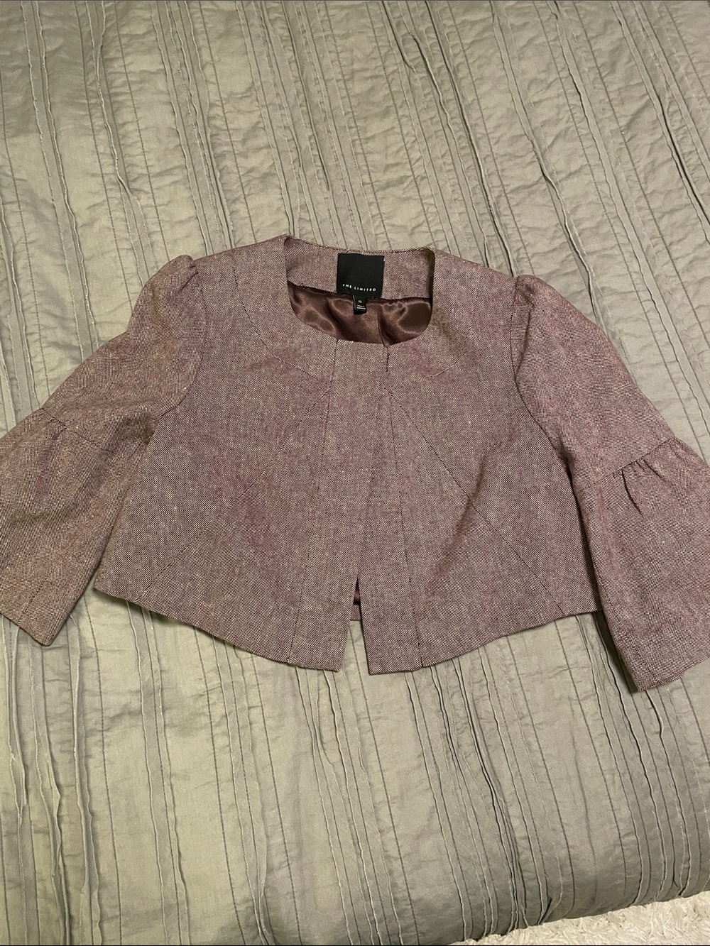 The Limited Cropped Blazer Jacket